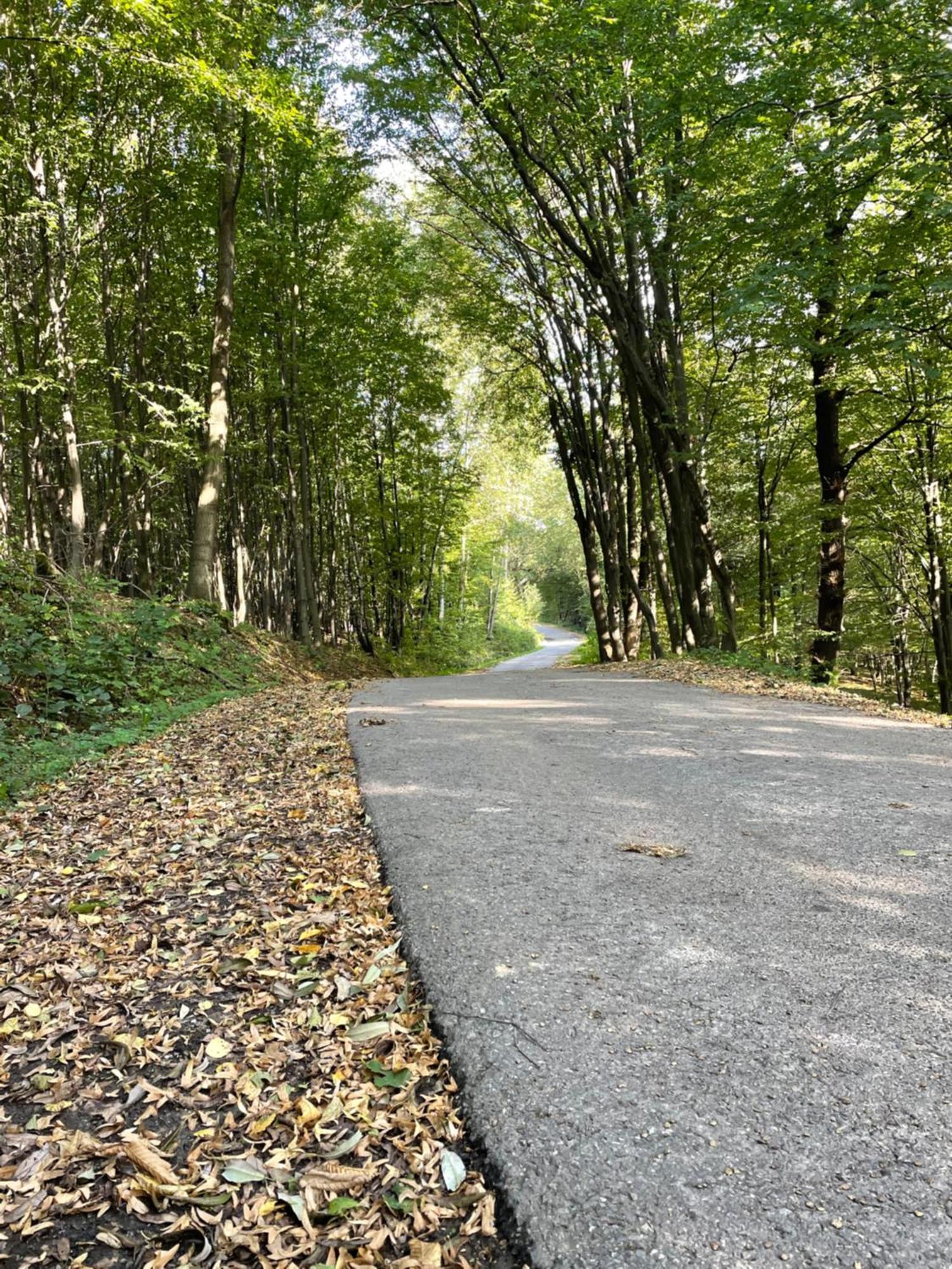 Wioska Jasia I Malgosi Villa Izdebnik Exteriör bild