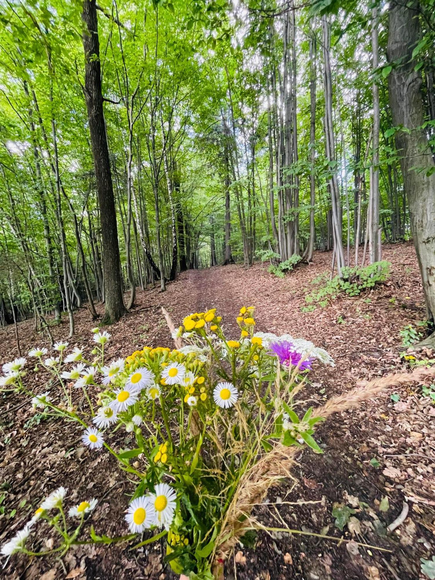 Wioska Jasia I Malgosi Villa Izdebnik Exteriör bild