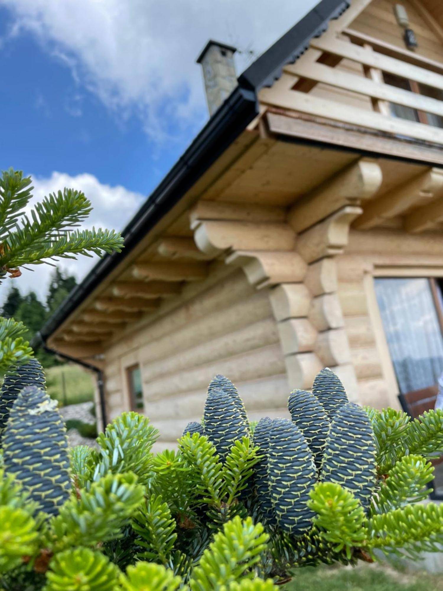 Wioska Jasia I Malgosi Villa Izdebnik Exteriör bild